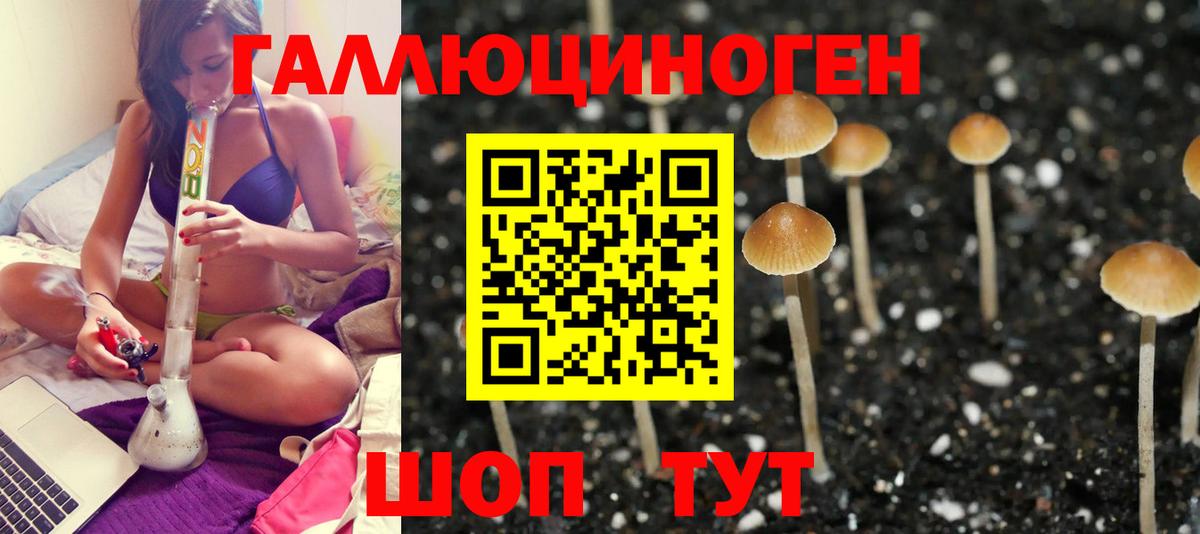 Галлюциногенные грибы мицелий Асбест