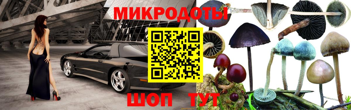 Галлюциногенные грибы Psilocybine cubensis  Вход с VPN  Асбест 